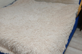 Dovanoju dvigule lova