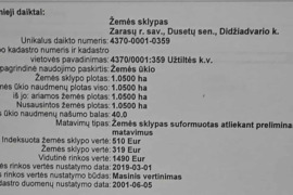 Žemės skypai, arti Dusetų miestelio, Netoli Sartų ežero