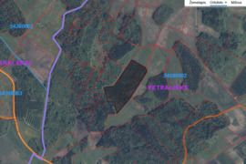 Nuomoju 8,78ha Linkaučių k. Kražių sen. Kelmės r.