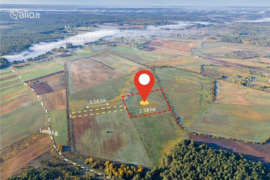 258.0 a sklypas Trakų r. sav., Senasis Tarpupis