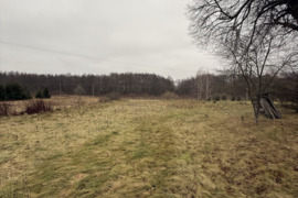 Parduodamas 43 a namų valdos sklypas šalia Šalčininkų