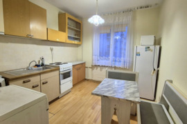 Nuomojamas erdvus 1 kamb.butas Naujakurių g.