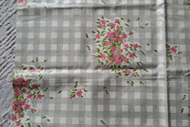 Staltiese (klijonka)