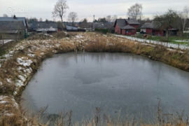 27.07 a sklypas Telšių r. sav., Tryškiai, Žemaitės g.