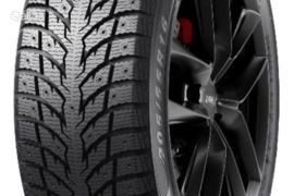 Winrun WR60 225/55R17 101H XL, Žieminės padangos