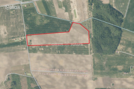 1637.73 a sklypas Klaipėdos r. sav., Smilgynai