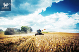 34.93 a sklypas Akmenės r. sav.