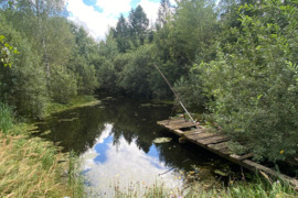 PARDUODAMA SODYBA SU 0,5 ha SKLYPU RIETAVO SAV., LIOLIŲ K