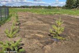 Parduodamas 5 a. žemės sklypo dalis Palangoje, Žibų g. 73D.