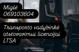 Transporto vadybininkas LTSA