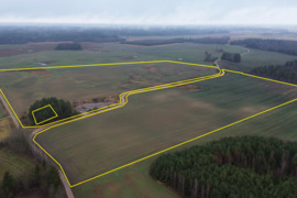 PARDUODAMAS 21,59 HA ŽEMĖS ŪKIO PASKIRTIES SKLYPAS ROKIŠKIO R.