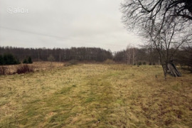 43.0 a sklypas Šalčininkų r. sav., Milvydai, Užupio g.