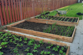 Namas Šiauliai, Šiauliai, Lelijos Sodų 12-oji g.