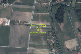 100.00 a sklypas Klaipėdos r. sav., Traubiai, Ąžuolų g.