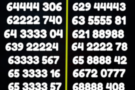 Lengvas VIP numeris už 30€