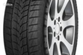 Minerva Frostrack UHP 255/35R18 94V, Žieminės padangos
