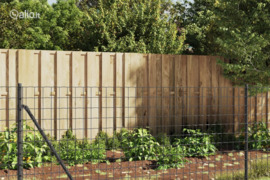 vidaXL Vielinė tinklinė tvora su smaigais, antracito spalvos, 1x25m