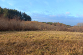 Parduodama 8,06ha sklypą su sodyba Bugonių k.