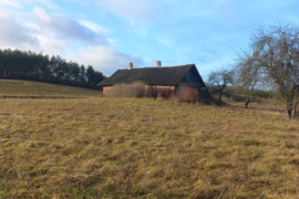 Parduodame seną sodybą su 8,06ha žemės