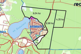 2354.0 a sklypas Ignalinos r. sav., Girminiai