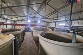 Patalpos Kėdainių r. sav., Dembnė