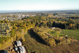 Sklypas ribojasi su mišku ir prie Vilniaus