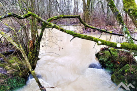 Sodyba Skuodo r. sav., Ersla, Beržų g.