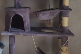 Katino-katės namukas