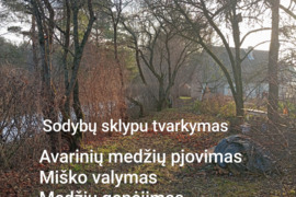 Vaismedžiu genejimas,krūmų pjovimas,avariniu medžiu pjovimas,miško valymas