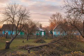 Medžių, krūmų pjovimas