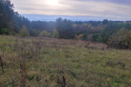 Parduodamas 1,808 ha žemės ūkio paskirties sklypas Varėnos r., Kucakiemio k., prie Sidariškių ežero.