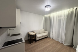 SAVININKAS 2 KAM. JUSTINISKESE KOPENHAGOS G.