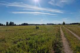 Parduodamas sklypas Klaipėdos r. Rimkų k.