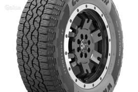 Goodyear Wrangler Territory AT/S 255/65R18 111H, Vasarinės padangos