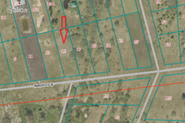 19.03 a sklypas Palanga, Palanga, Neptūno g.