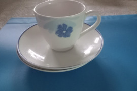 Puodelis su lekstutemis