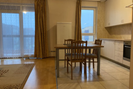 Išnuomojamas erdvus, šviesus 1 kamb. butas  45 kv.m. su dideliais langais