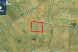 69.74 a sklypas Vilniaus r. sav., Kiemeliai