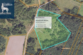 264.0 a sklypas Vilniaus r. sav., Skirlėnai