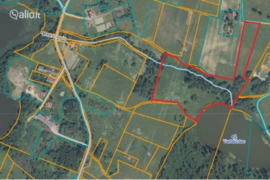 276.0 a sklypas Prienų r. sav., Liciškėnai