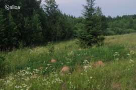 228.58 a sklypas Ignalinos r. sav., Mažėnai