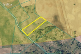 40.0 a sklypas Trakų r. sav., Burokai, Bijūnų g.