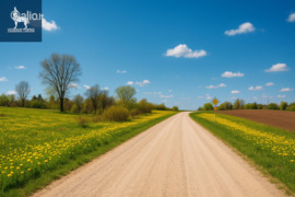 13170.0 a sklypas Elektrėnų sav., Žikaronys