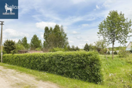 6.0 a sklypas Panevėžio r. sav., Janališkiai