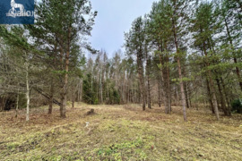 11.6 a sklypas Vilniaus r. sav., Piktakonys, Rasos 1-oji g.