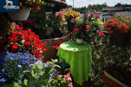 2 kamb. butas Vilnius, Naujoji Vilnia, Gerovės g.