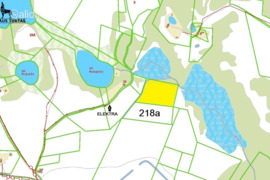 218.0 a sklypas Molėtų r. sav., Murališkiai, Limino g.