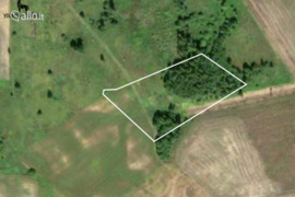 75.35 a sklypas Vilniaus r. sav., Pikeliškės