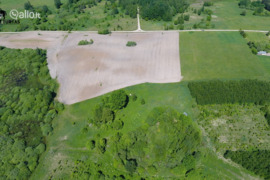 110.0 a sklypas Molėtų r. sav., Alkūnai