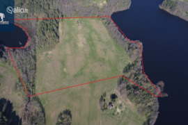 951.0 a sklypas Rokiškio r. sav., Trumponys (Kamajų sen.)